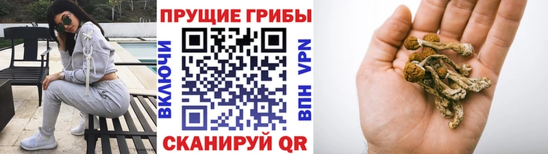 где найти   дарк нет телеграм  Галлюциногенные грибы прущие грибы  Кемь 